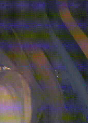 御姐少妇全程骚话勾引滴滴司机❤️剧情感拉满