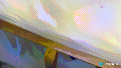 I fuck my roommate naked on a bed