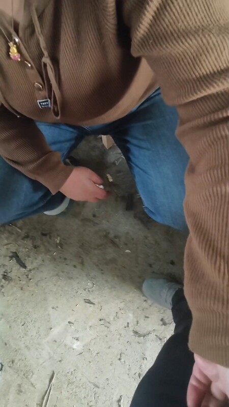 妈妈在养殖场煮猪食 我把精液都射在妈妈嘴里 让她把浓浓的精液都咽下 不可多得的养颜 ...